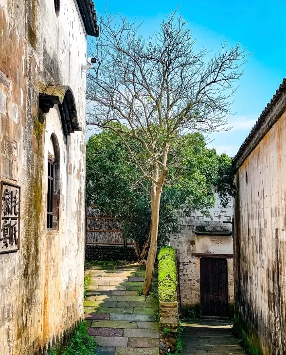 94e8f30dea4c0b67a18cde37f1f6ad95-sz_448069