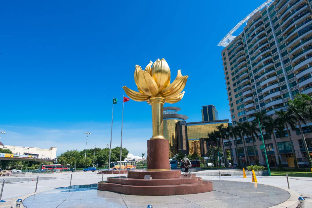 9579f0e4d763a3892031235876654fdf-sz_1505889-1