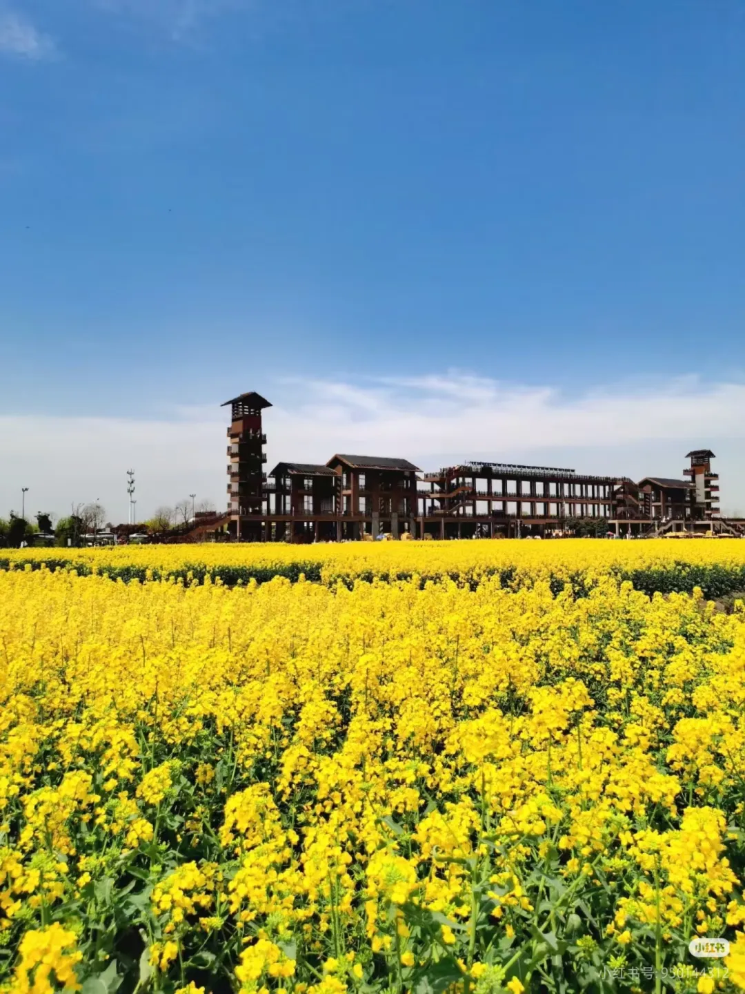 95c809a9cd261e137542ff6f7aacf14d-sz_1403097