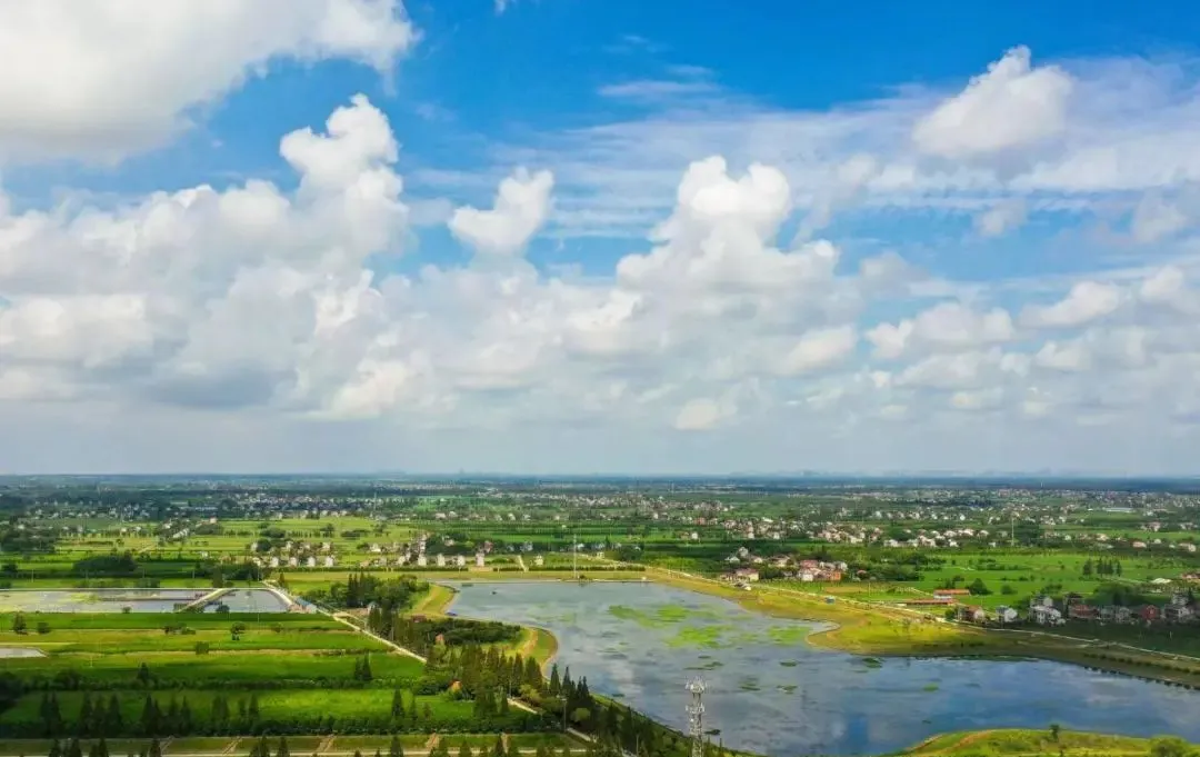 95f7d6aa4b7c13d87e05e37cae7193eb-sz_1493791