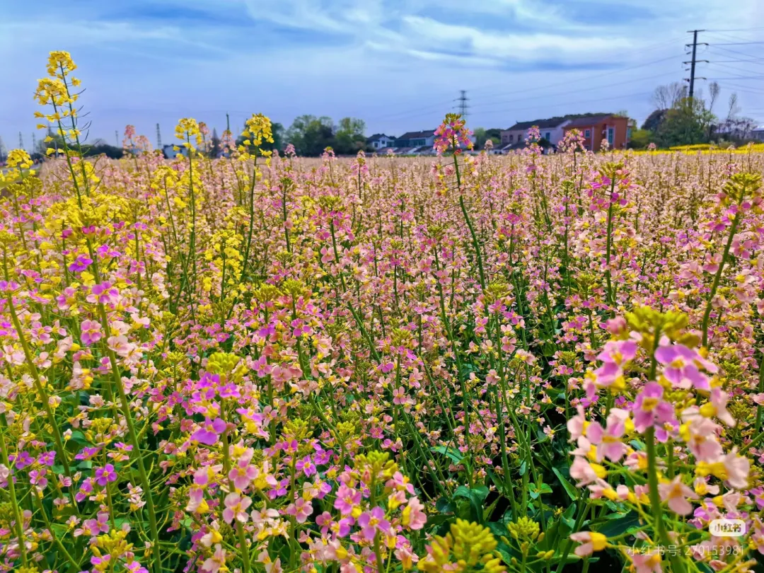 961847874330305f2b5d7996bc74970e-sz_1443325