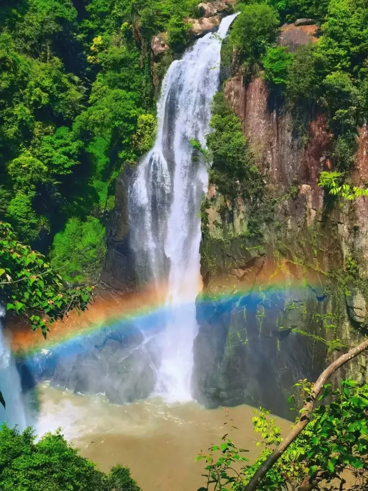 964af9e91e58de14d8cc74e2f957bc30-sz_3810873