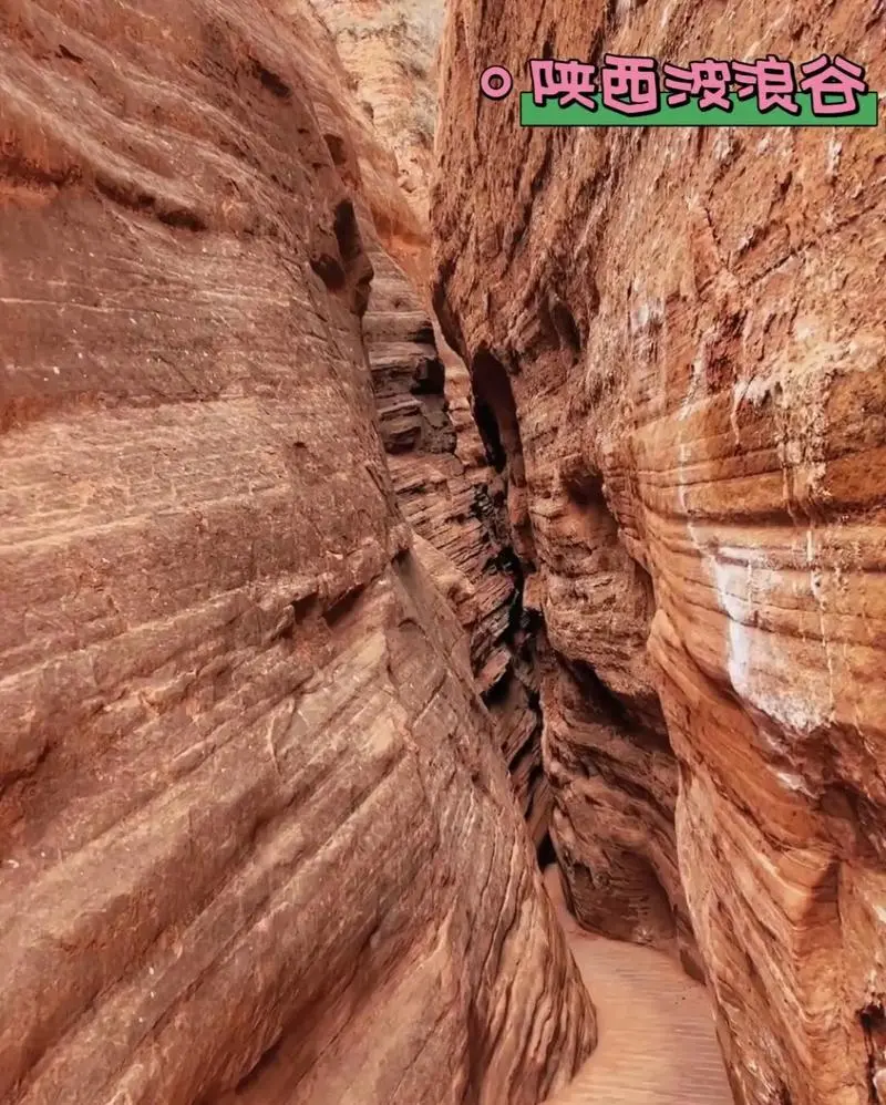 973006e252af981dd08b0050ff26ac97-sz_163079-1