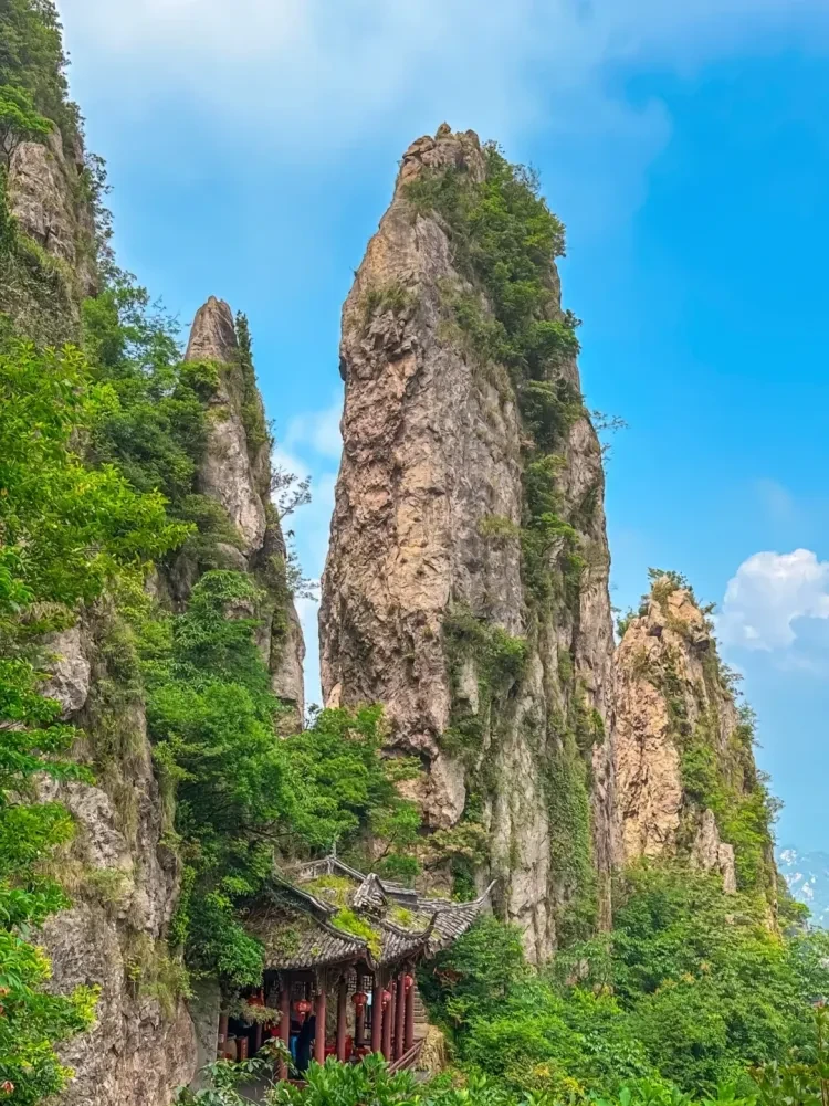 973693333a87d0c339d204891324303d-sz_3253748