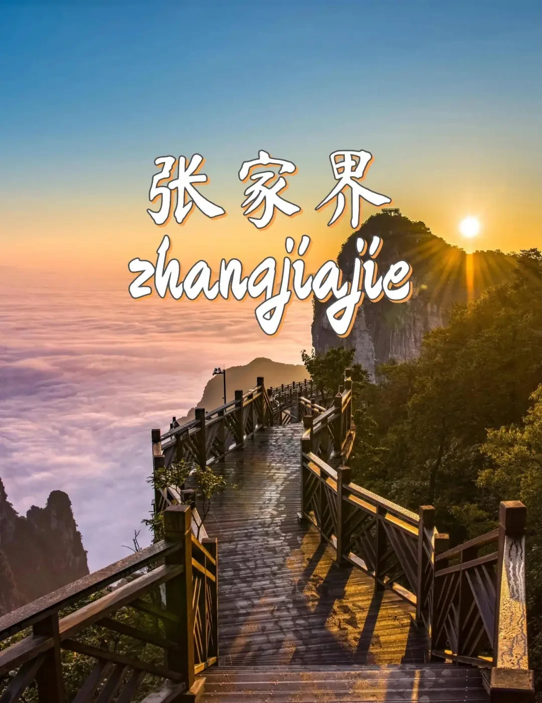 974245b1d86b4287a20f2036c024dea8-sz_494355