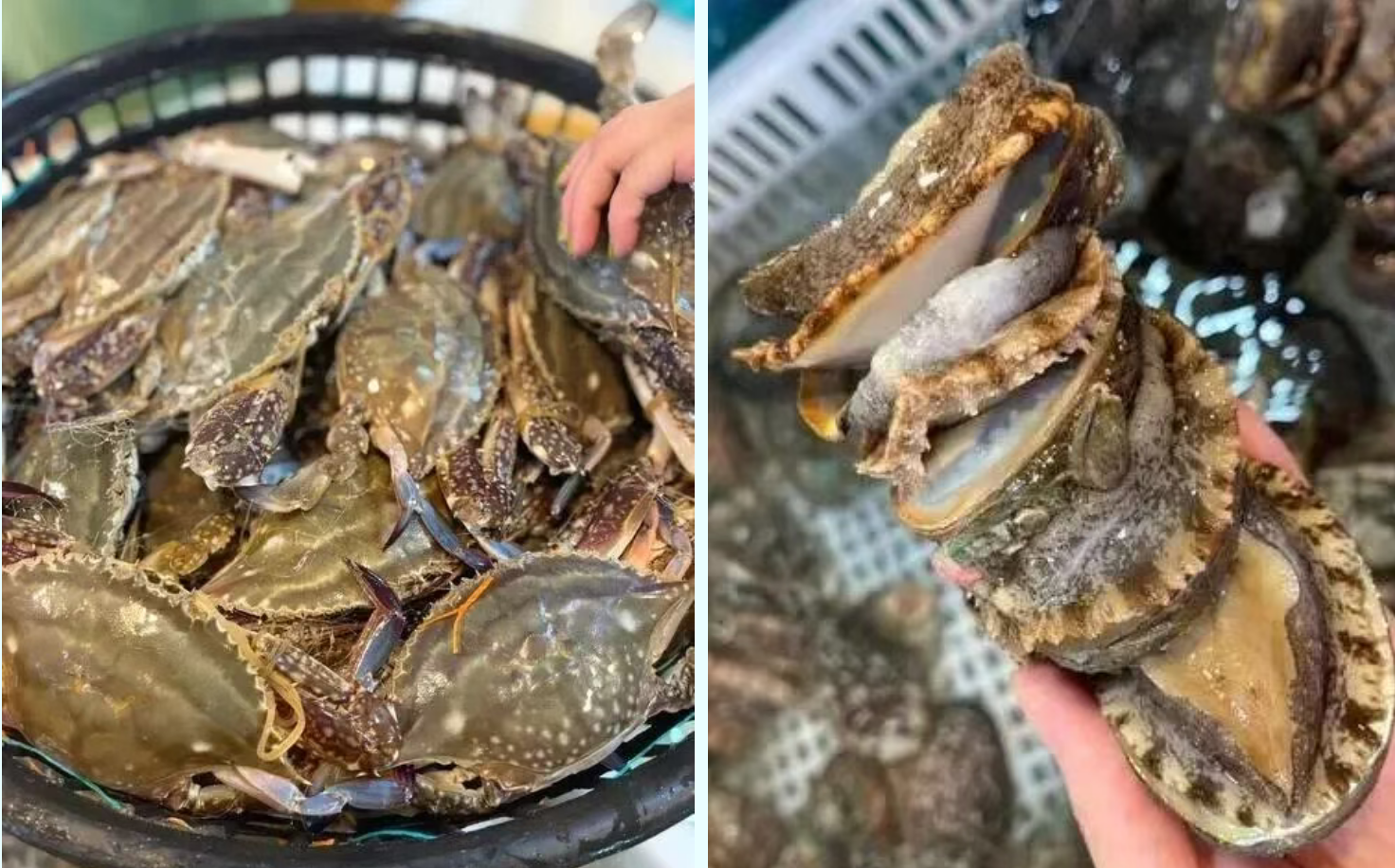 977a649fcd51ab4235f802775c2dee20