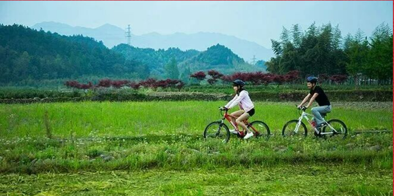 9822222dc05234e731f17de73eecb2f8