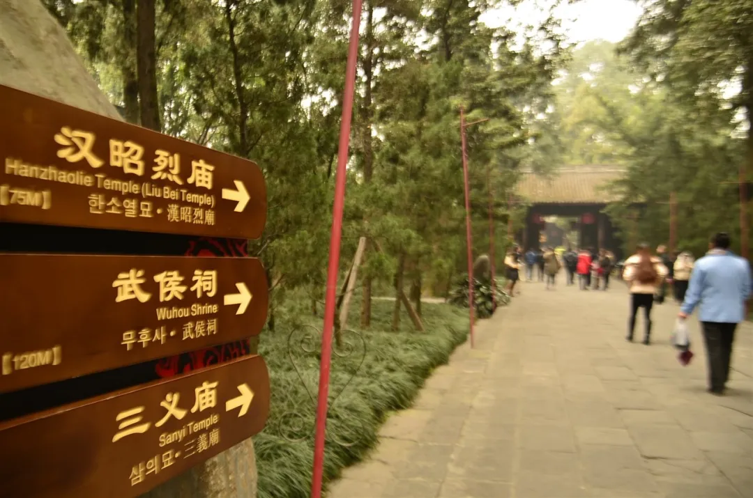 9831e951efeb0dad66b6fba640b38984-sz_242992