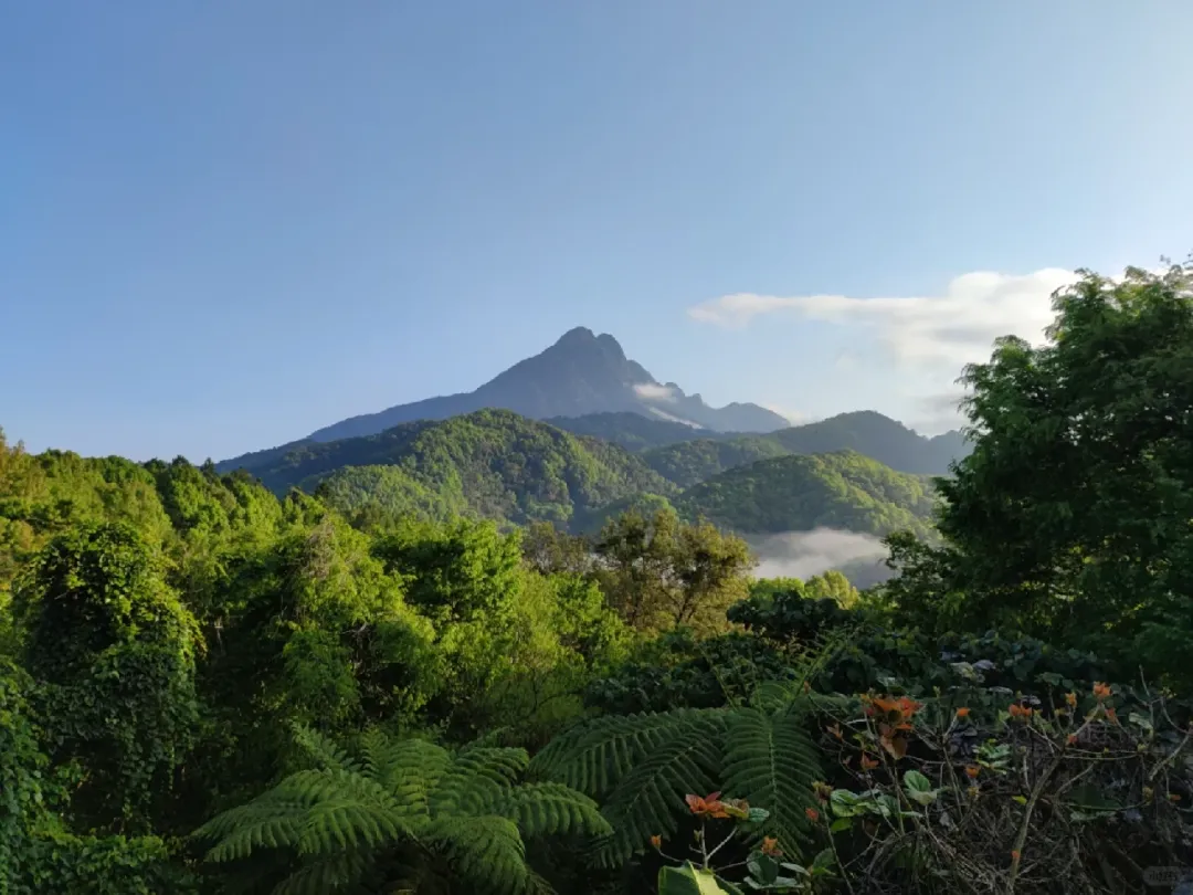 9835b25acaae03bb188ba6a99eda9ca3-sz_1273325