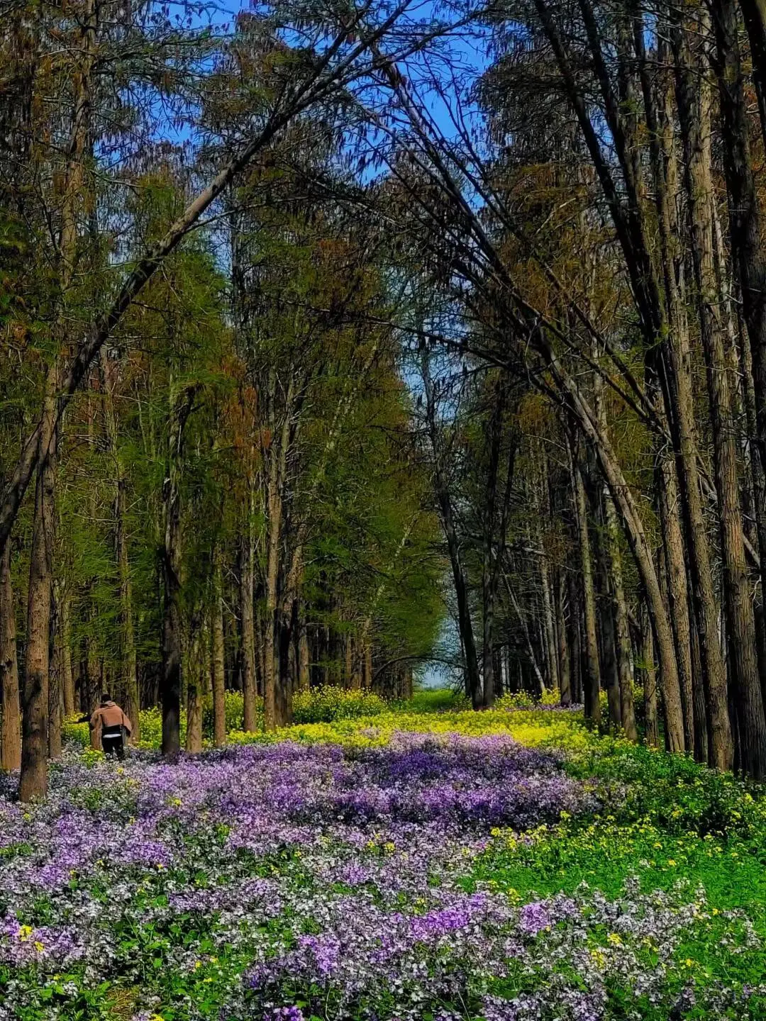 98487f40d69d945625180bd8b4349827-sz_475219