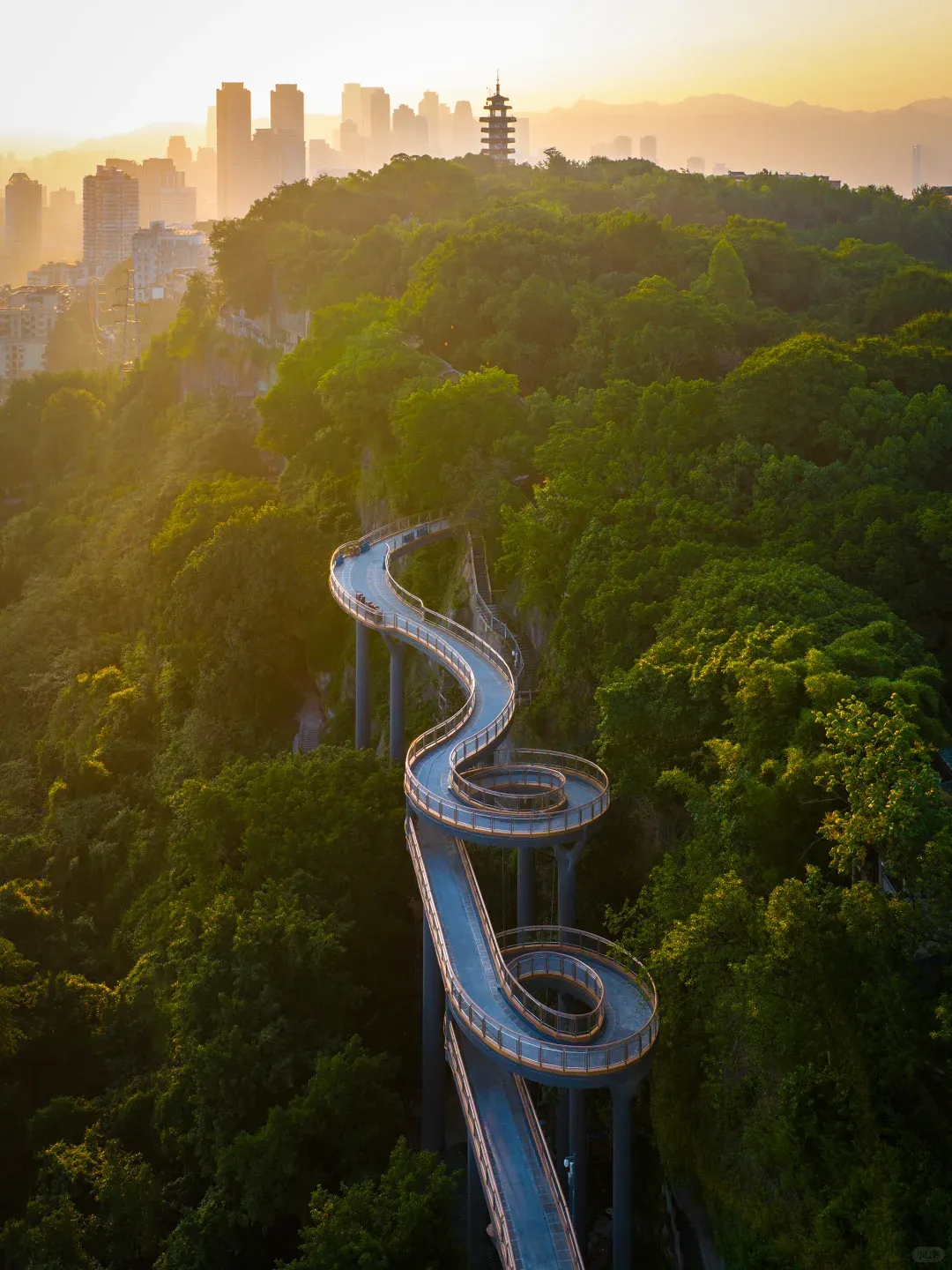 985ef69286bf44f9edb56ed8a5bbf94a-sz_2336231