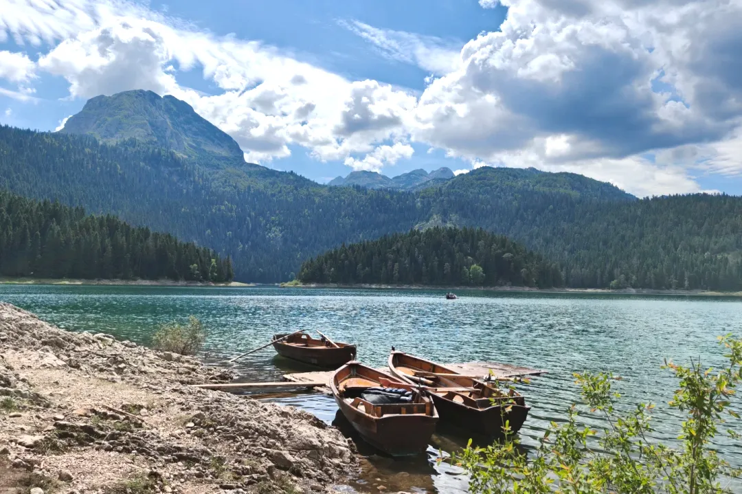 99027bd03f487431f04896fe6db9d397-sz_2622017-1