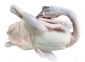 991392848827ef640bc2ac6354dc1d8b-sz_14742