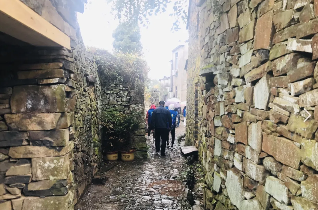 992ead933395a498a73b4e77237f8570-sz_1375538