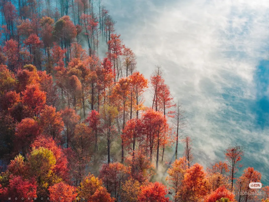 9943739f1de1ad6fc19e0530aecfe647-sz_952444-1 9943739f1de1ad6fc19e0530aecfe647-sz_952444-1