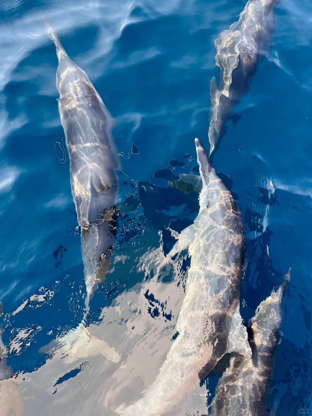 9ad39173b1e1ebf361ee63d7ee011a13-sz_1631002