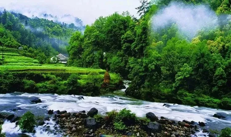 9b5608972620c7200da8d387fbf88ec5-sz_112642