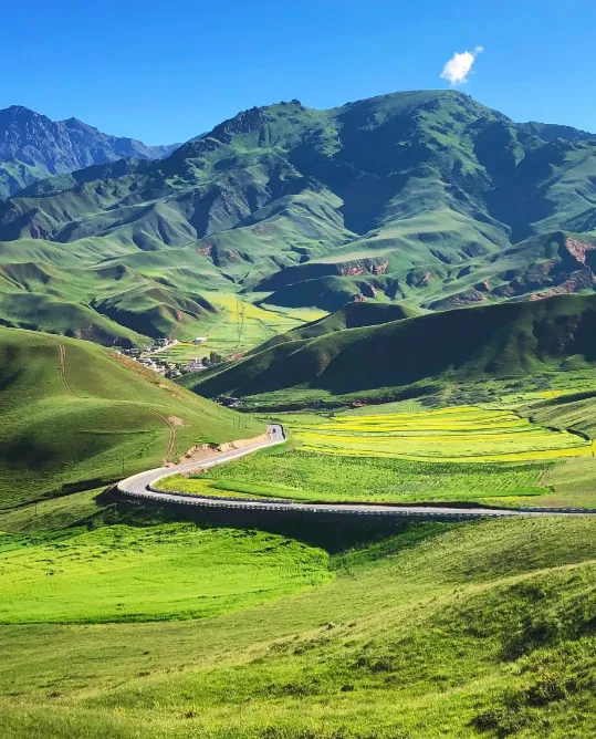 9b776b5f37b55db1d4939e519a525316-sz_955885