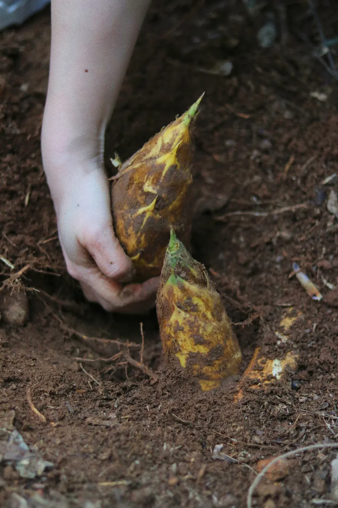 9b90dd18677d2208bcc4b8ba3bc831e5-sz_3750288