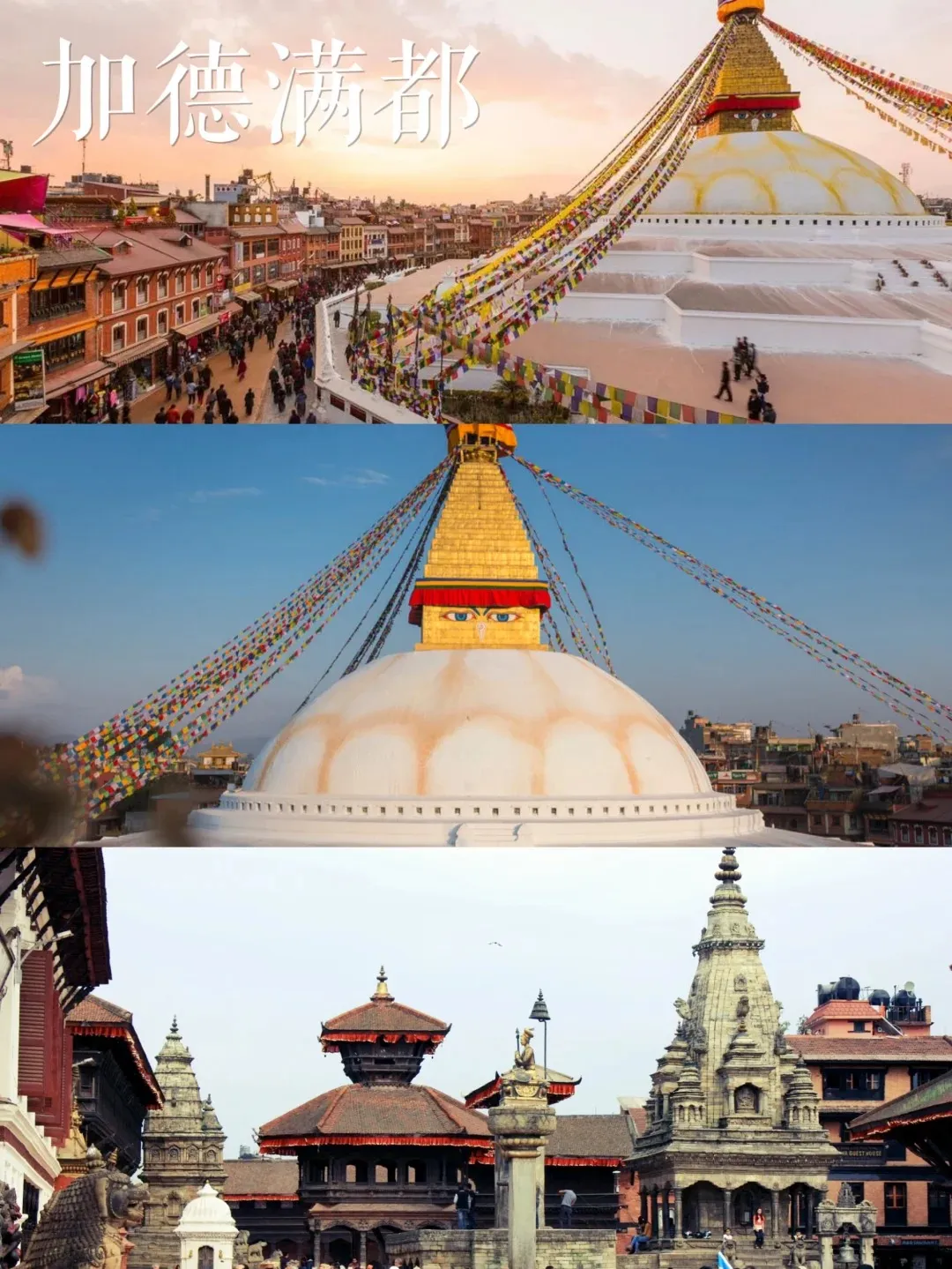 9baf15cbf7de623e7a39e0882cdc2cb5-sz_379648-1