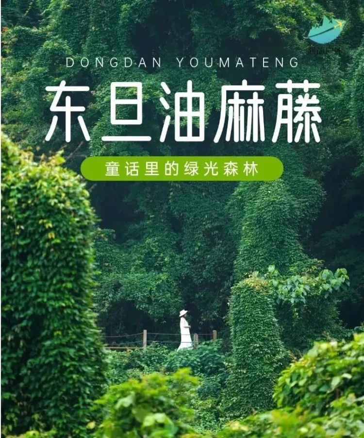 9bef38daafaf70a13874a0226b170363-sz_1892065