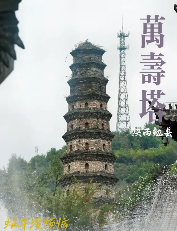 9bfa33fc0327569ce2b1293cda384058-sz_1703843 9bfa33fc0327569ce2b1293cda384058-sz_1703843