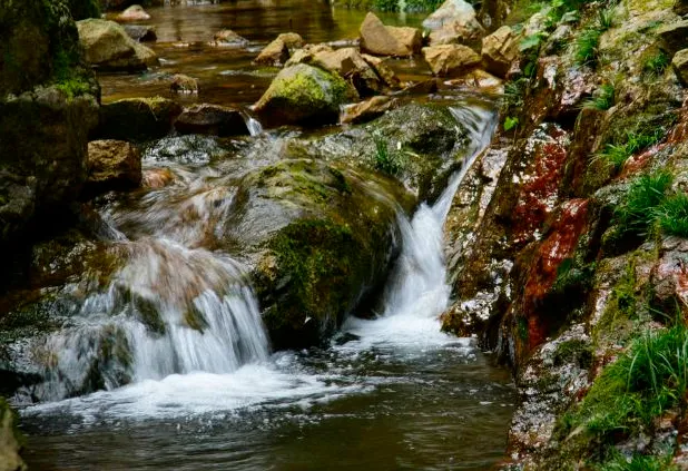 9c4797c21f873d35972ef76a333b886e-sz_614107