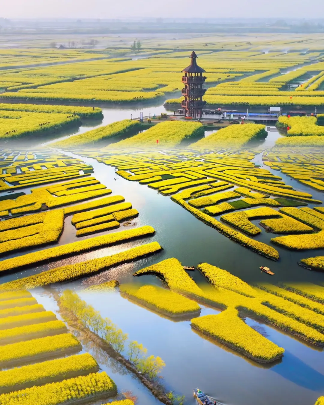 9c8ac1e0b49b5b2f6cb02605ba423d88-sz_1800685