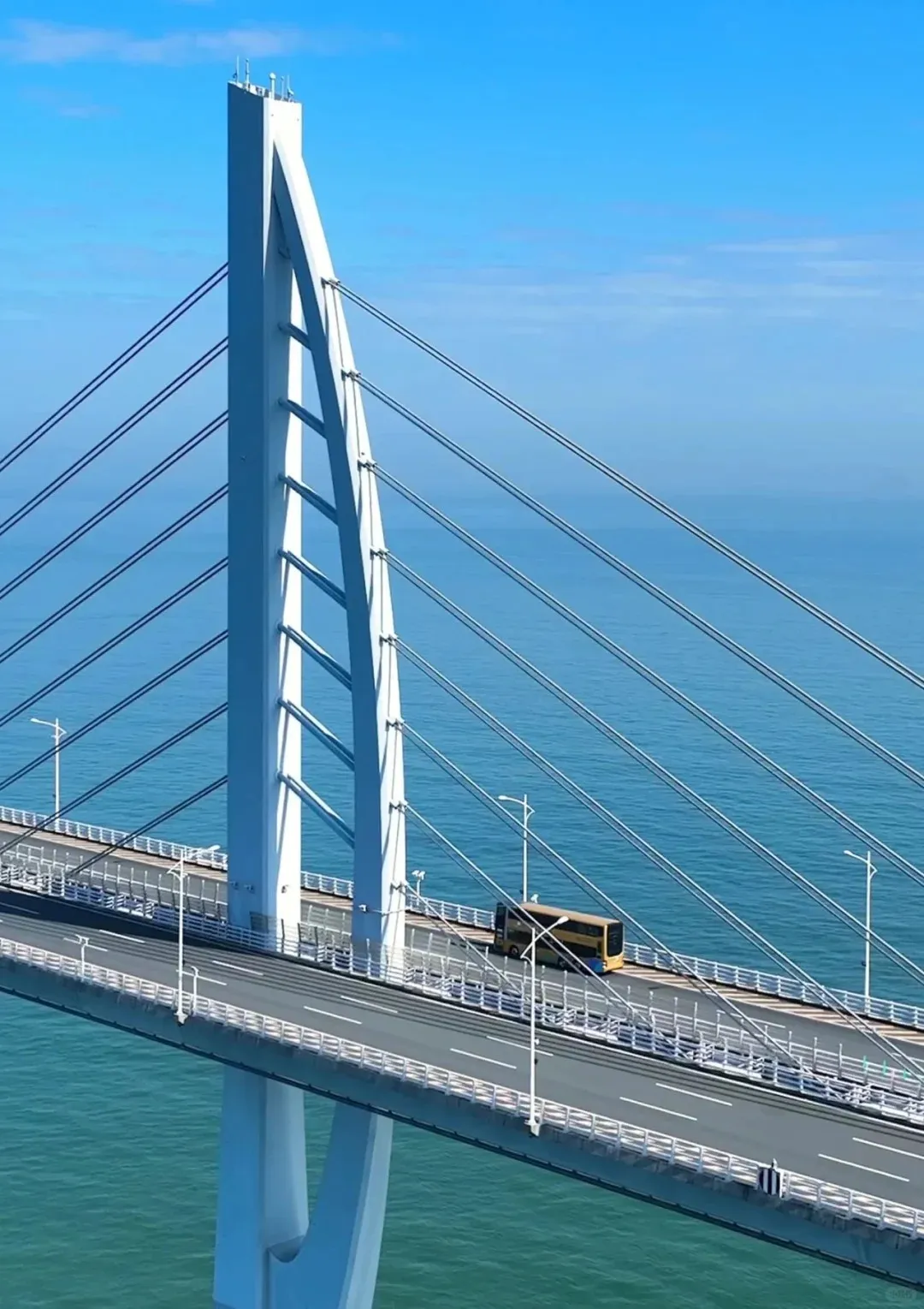 9cab0c0e40c8a05470910d97011d8748-sz_315139