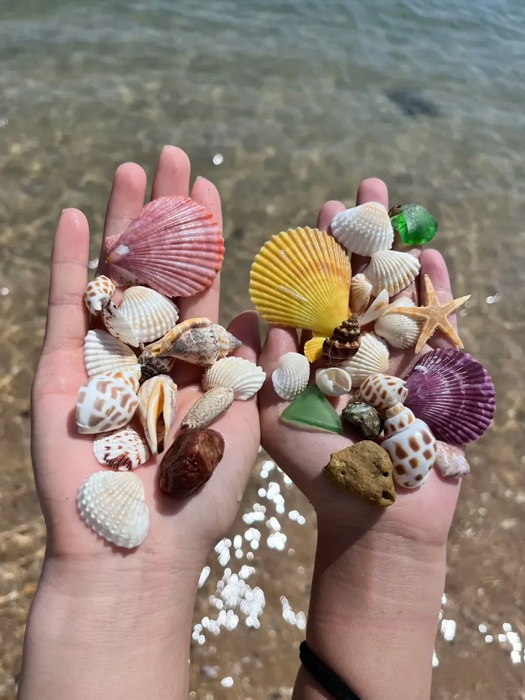 9cdd9d0a79f49acda9a5dc77fb01fdae-sz_316574