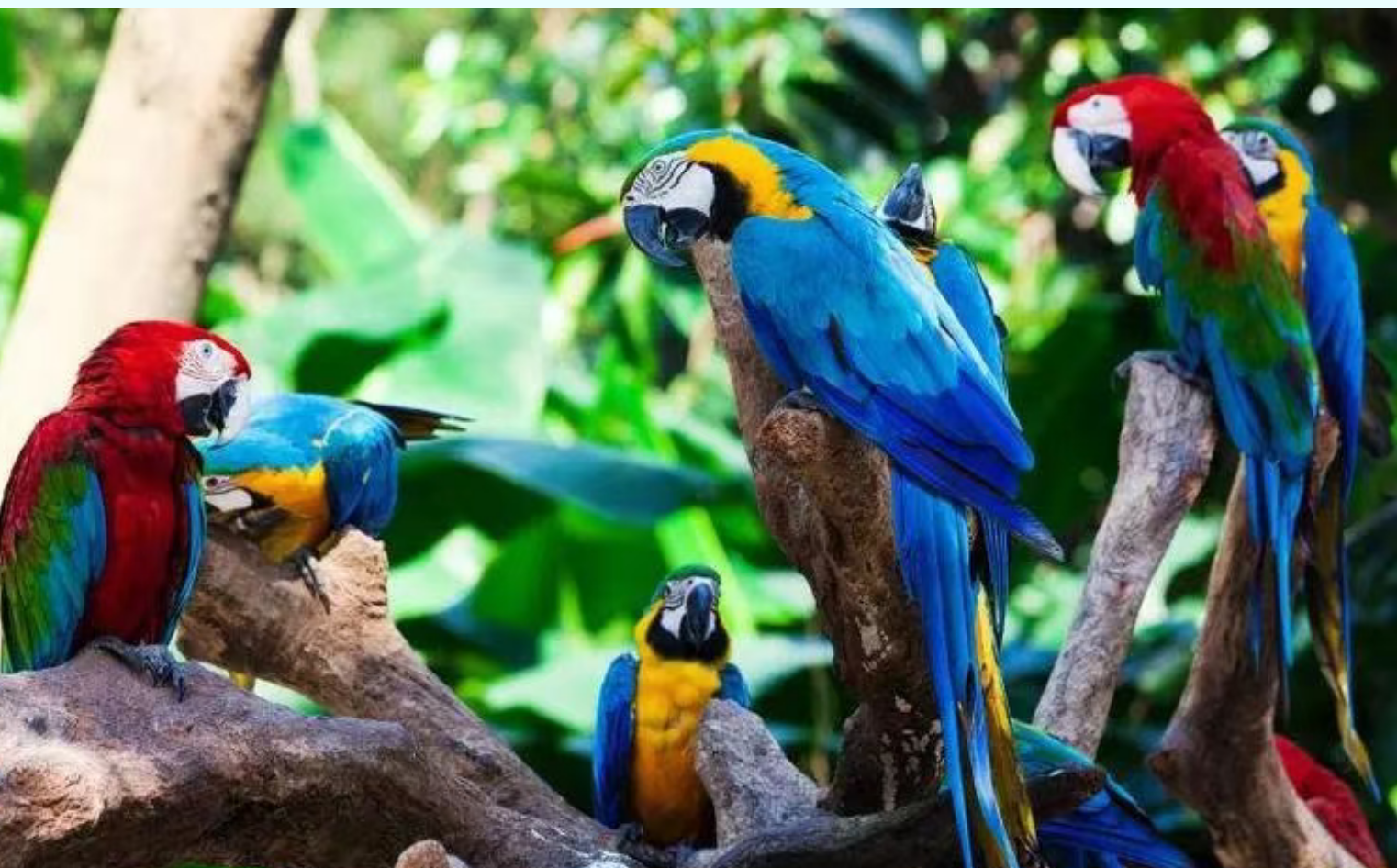 9cf54f7e0fe293a828b0687f67c02c17