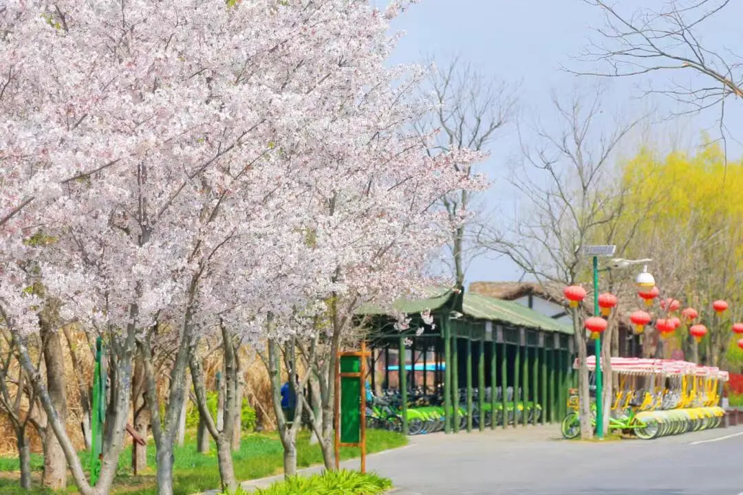 9cfa1d1e5c70e871ab3263b002332dfe-sz_161848