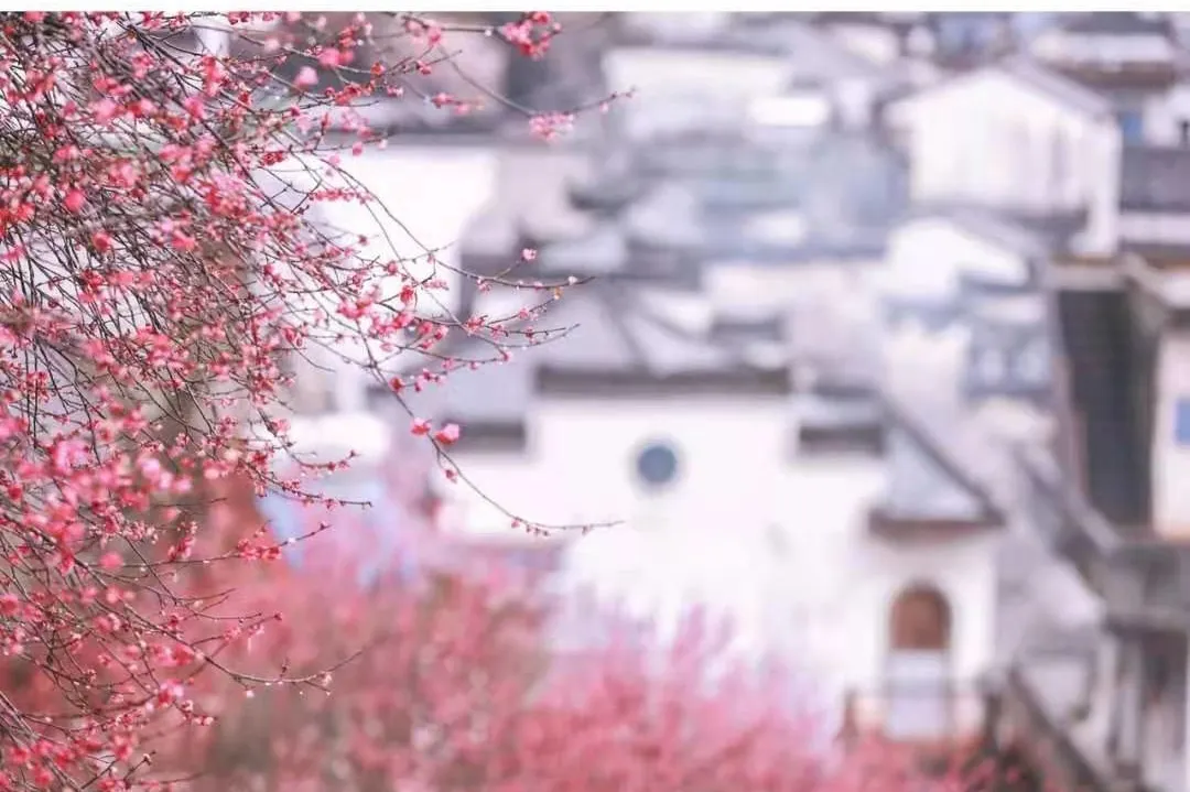 9d0565aacf03c7f3cb3cf13a87e57ead-sz_380911