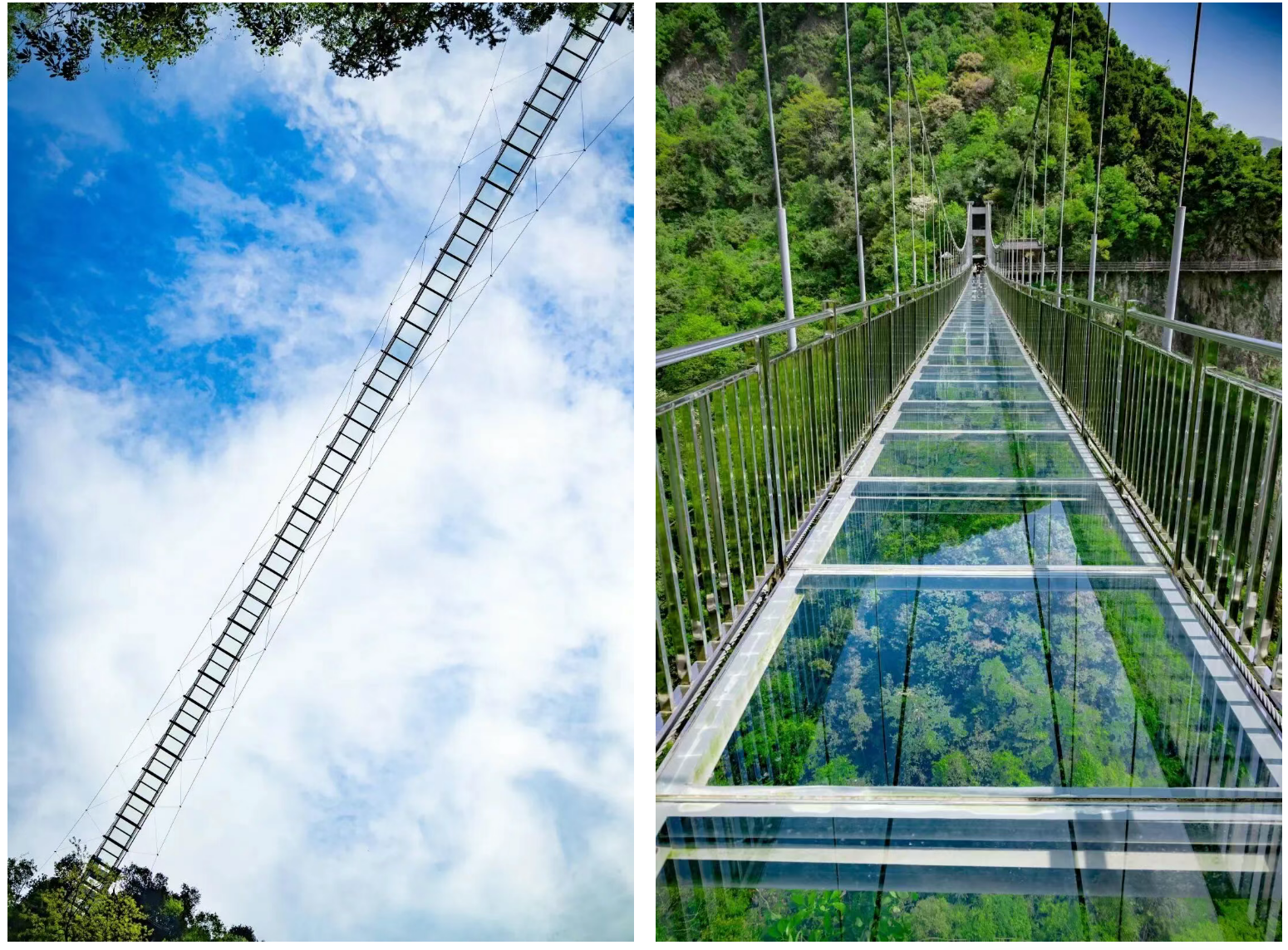 9d70af8a6a86e0674937970893a7ed18