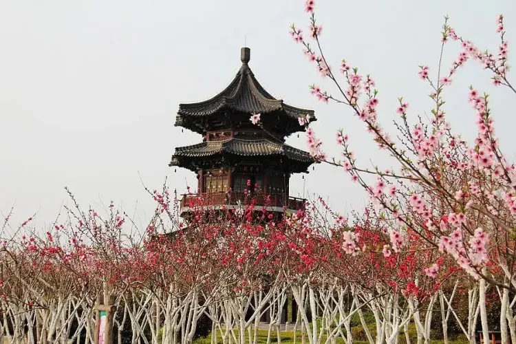 9d80d8450801bbd20e7b7552111f453a-sz_163005