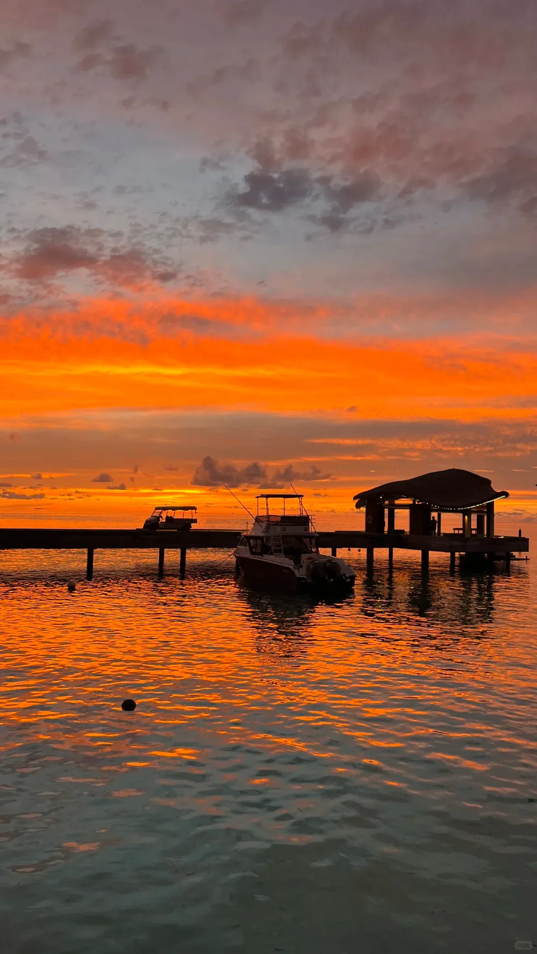 9d8f550b8065523e06f5216c459fbd54-sz_1689477