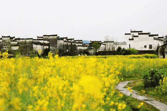 9da6d0f8f848145cad8898ae0debf252-sz_197662