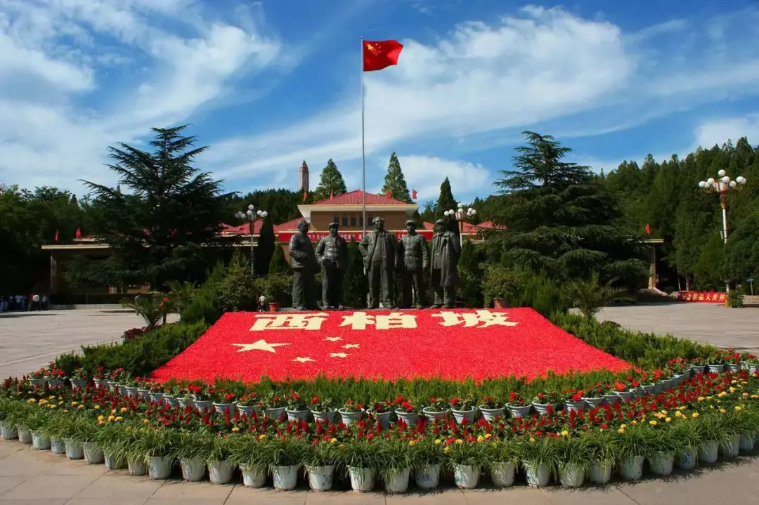 9da907d80d1e88b83550595a7a29f5ff-sz_190168-1