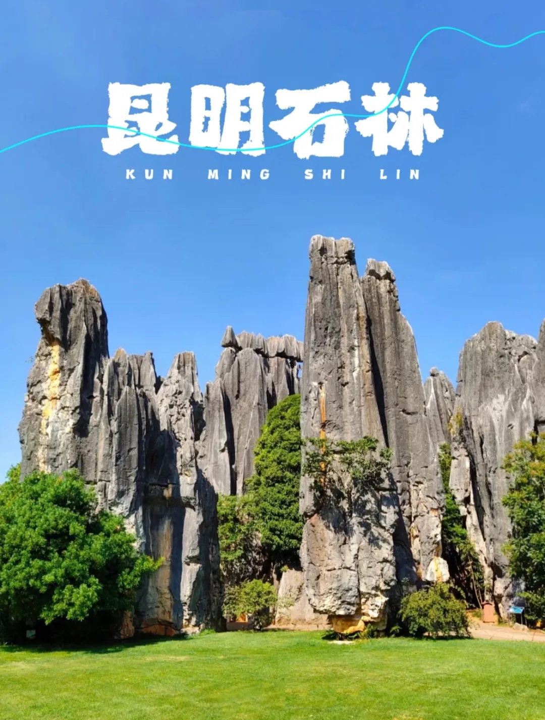 9dcae3142dc8e693855188504bd3685e-sz_650717