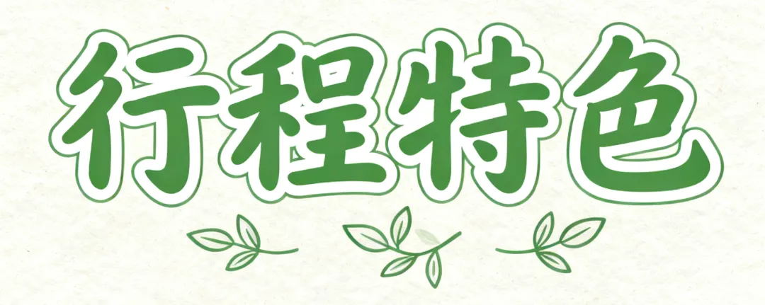 9dd4147a078c02e2f8ca17d094908cbf-sz_3919950