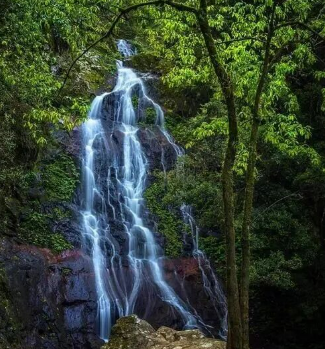 9ddee0a325d1a18f5a1af7c6f039aaa0