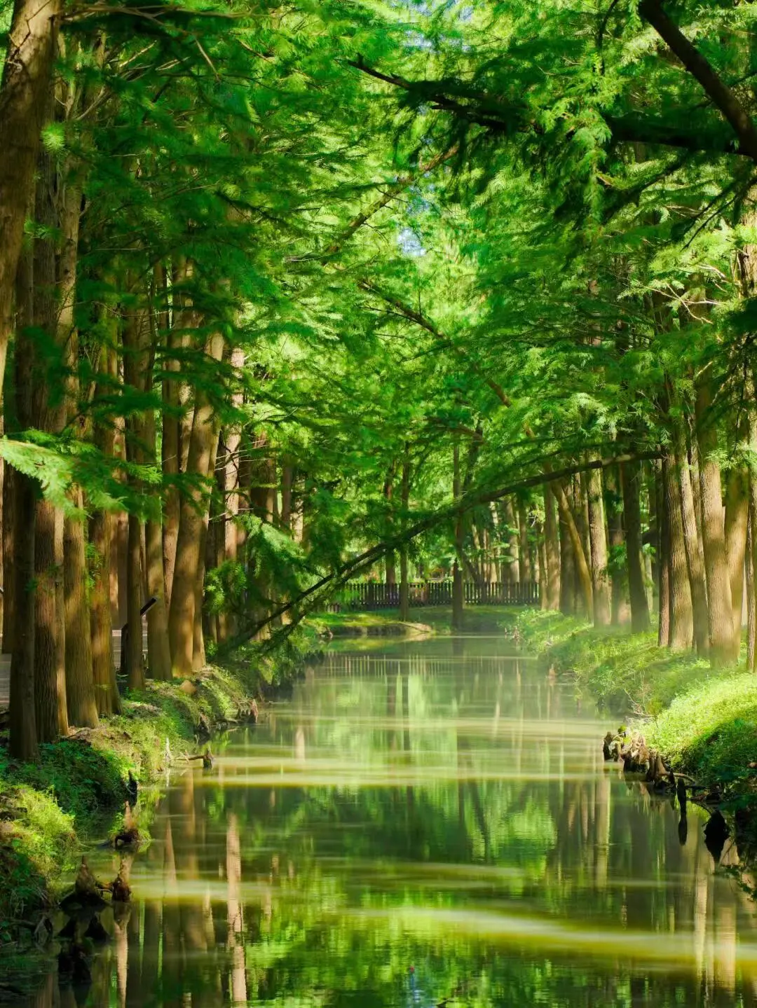 9df6a88e1c20e3ec7edac107eff03cd4-sz_320803