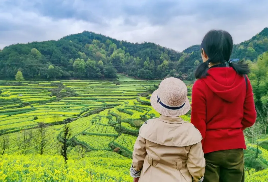 9e288fbe8917ade51841c022e4776357-sz_162566