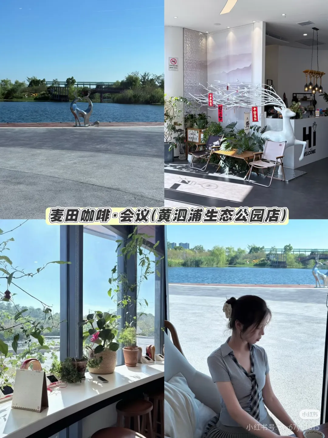 9e3ed8d1d33a6cd0e2b568be00286811-sz_1425517