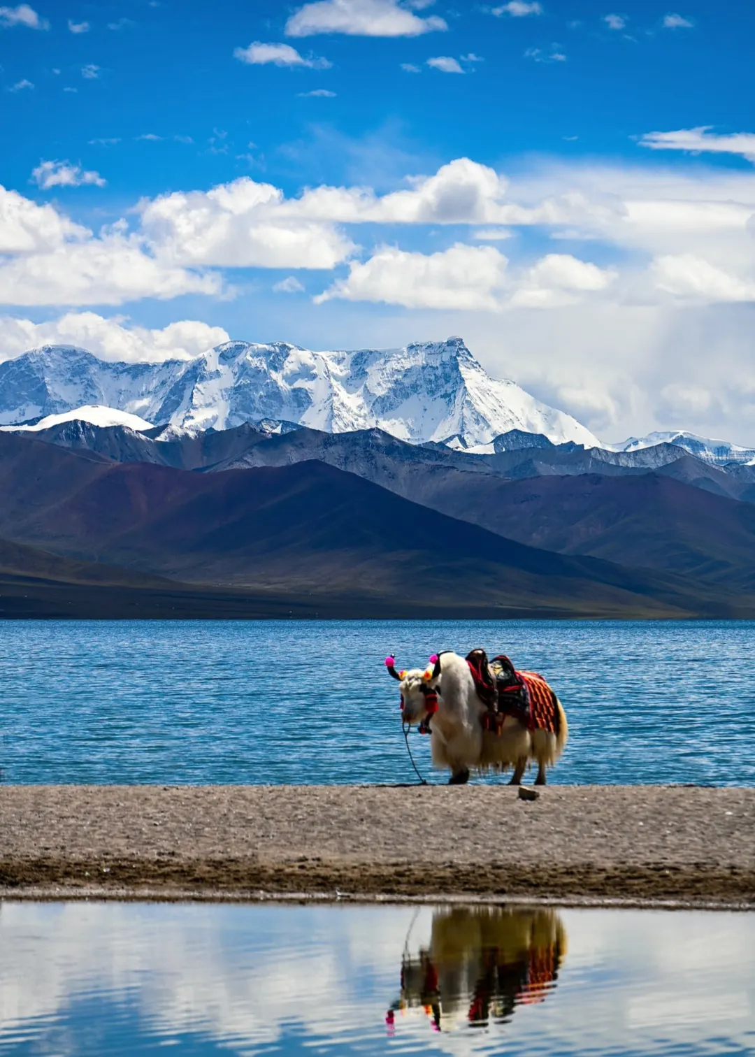 9e5dbb0f4589732c94ff0f8a00bd0c4b-sz_632408