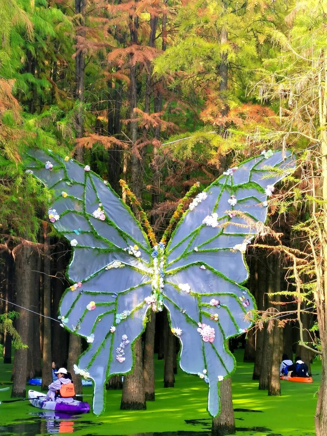 9f4d4d347734b405921d69a1caa005e5-sz_4069026