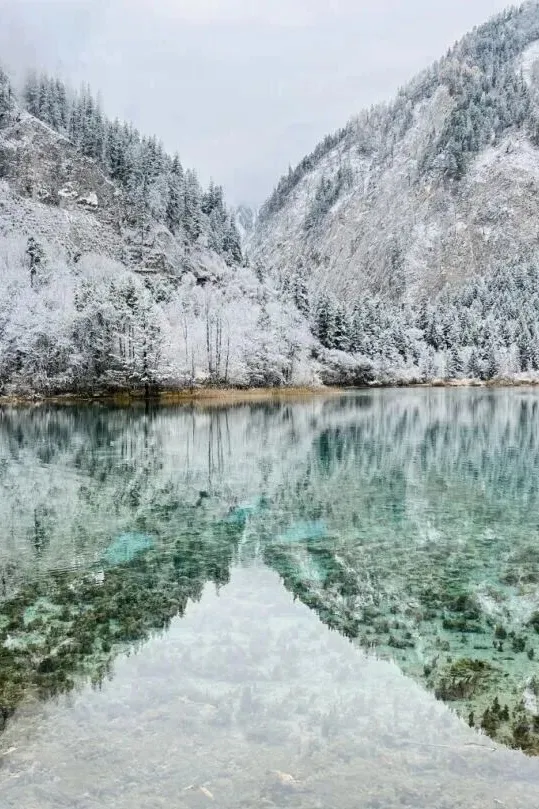 9fa3cac96fed5f2af72cdfc9822488cb-sz_241414