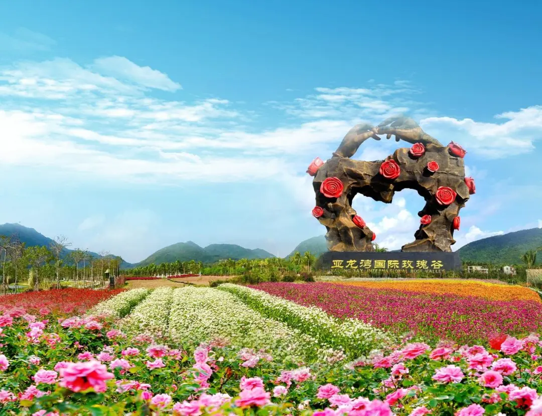 9fb286c60d86643c0870c60e73794944-sz_237850