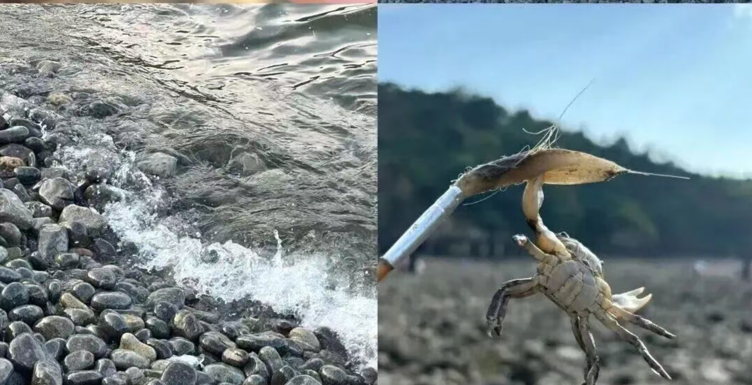 9fefbc93d6ff4e85e70d30002f5c0f21