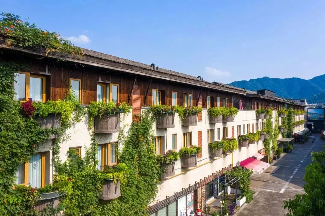 a0455de7c9d847a0b6f74f6c0799cf48-sz_175070